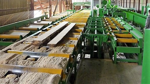 Роликовые конвейеры для лесопильных производств Timber Mill