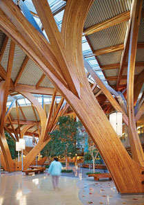 Использование конструкций из лееной древесины в строительстве