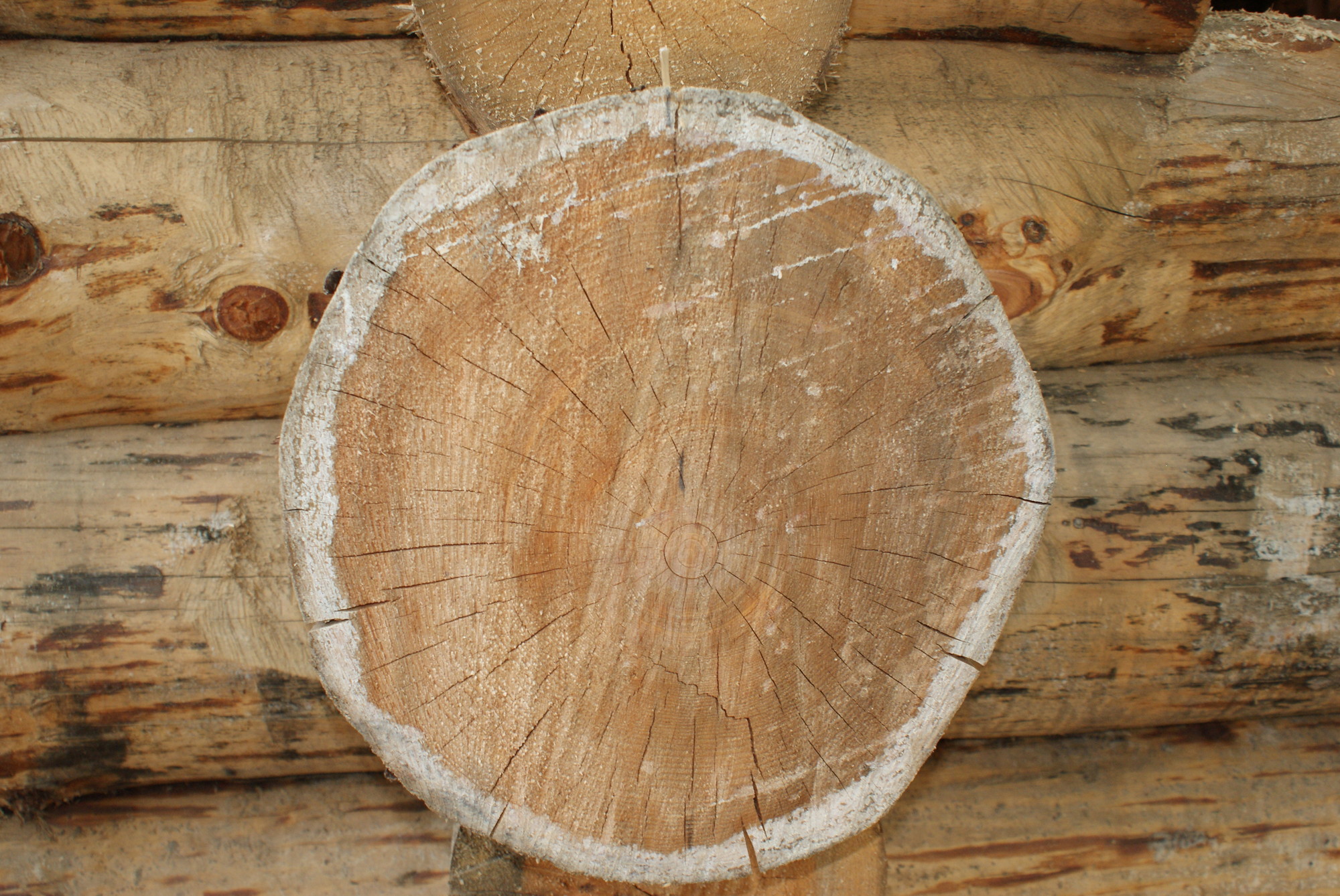 Эстакады подачи пиловочникав лесопильные линии Timber Mill 3