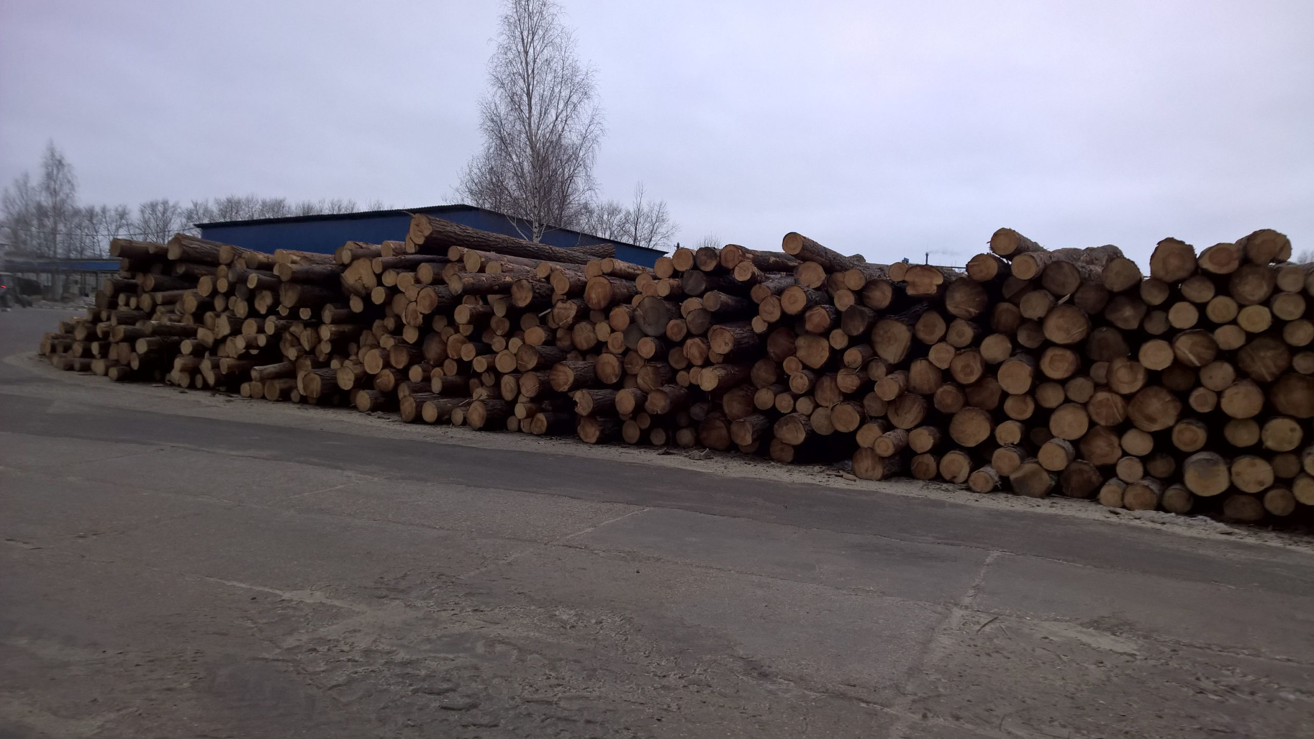 Полнокомплектная комбинированная линия лесопиления Soderhamn Eriksson для переработки тонкомерного пиловочника Производительностьлинии 150 000 куб.м. в год при работе в две смены 7